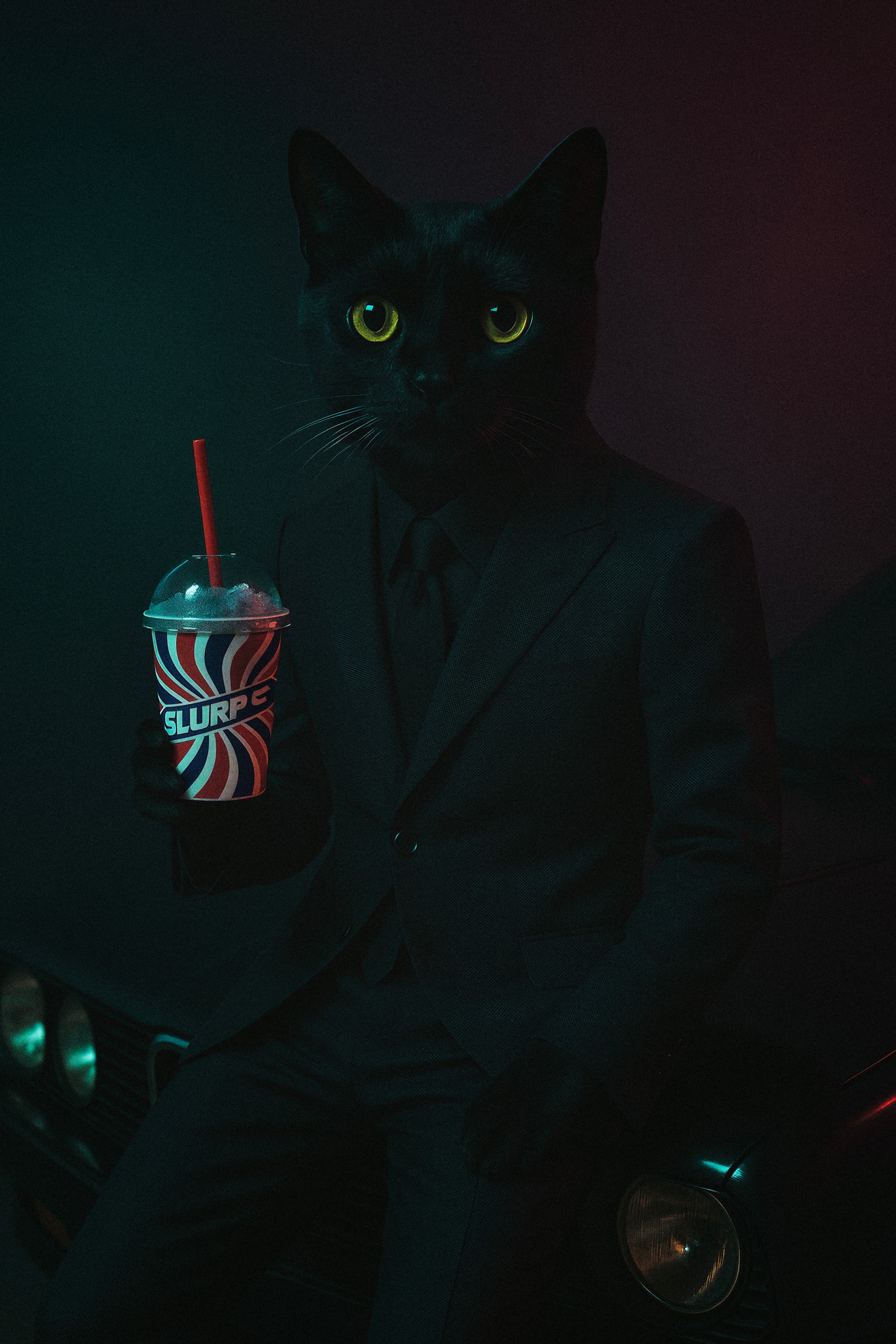Stylish cat in business suit