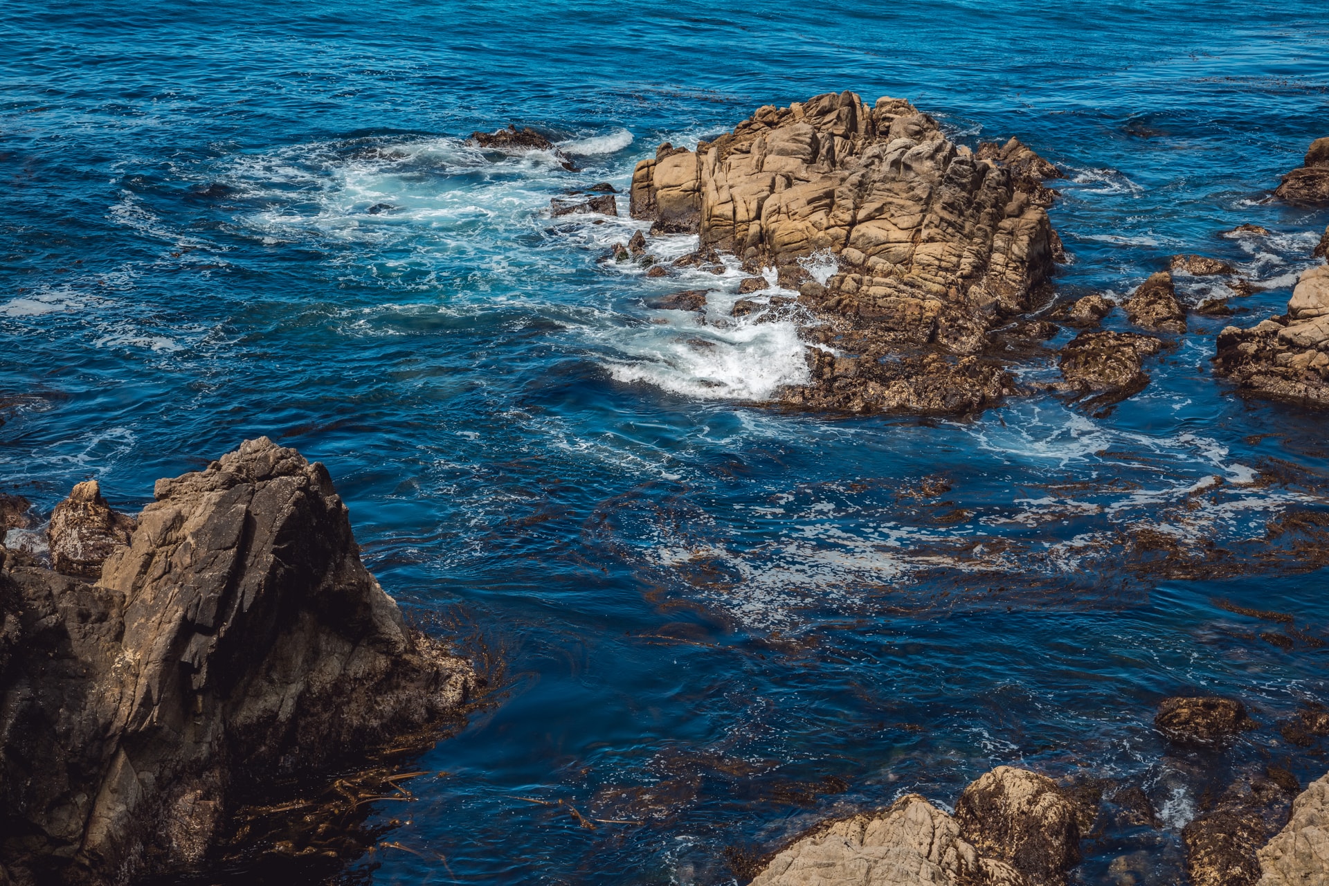 1C7A4696-Edit