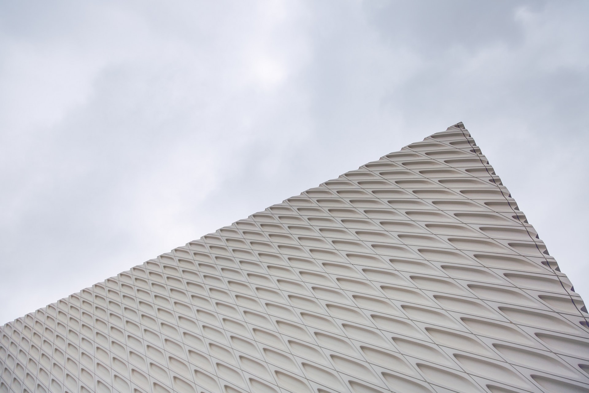 The Broad