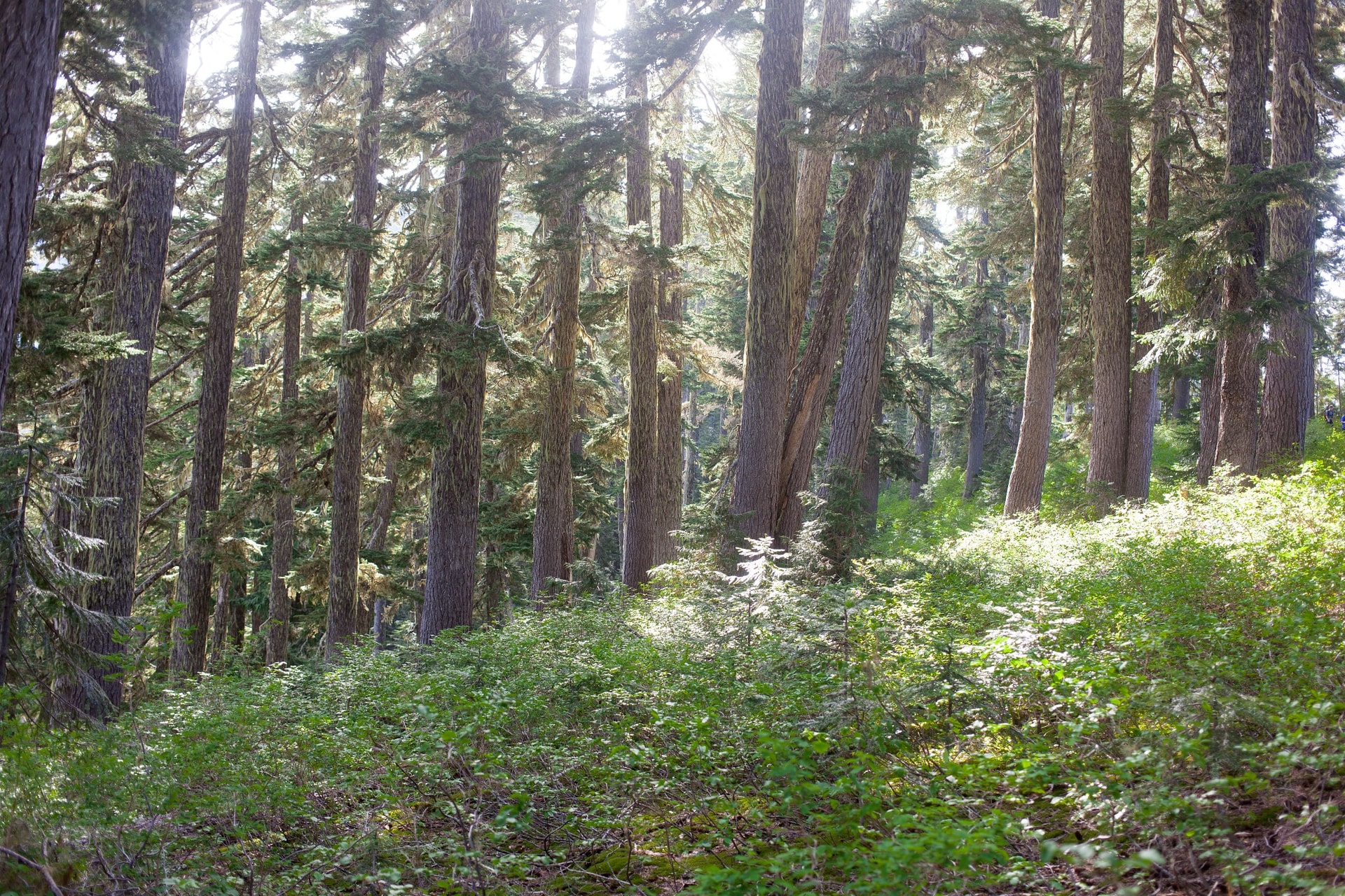 IMG-7883.jpg