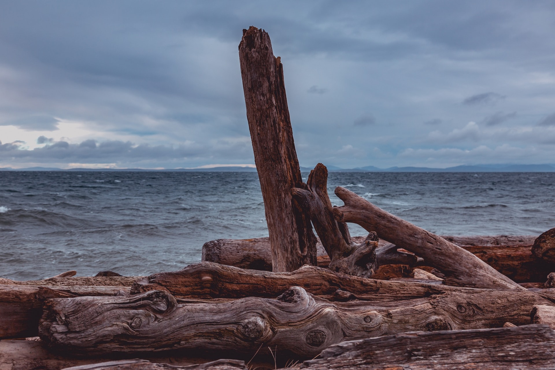 Beached