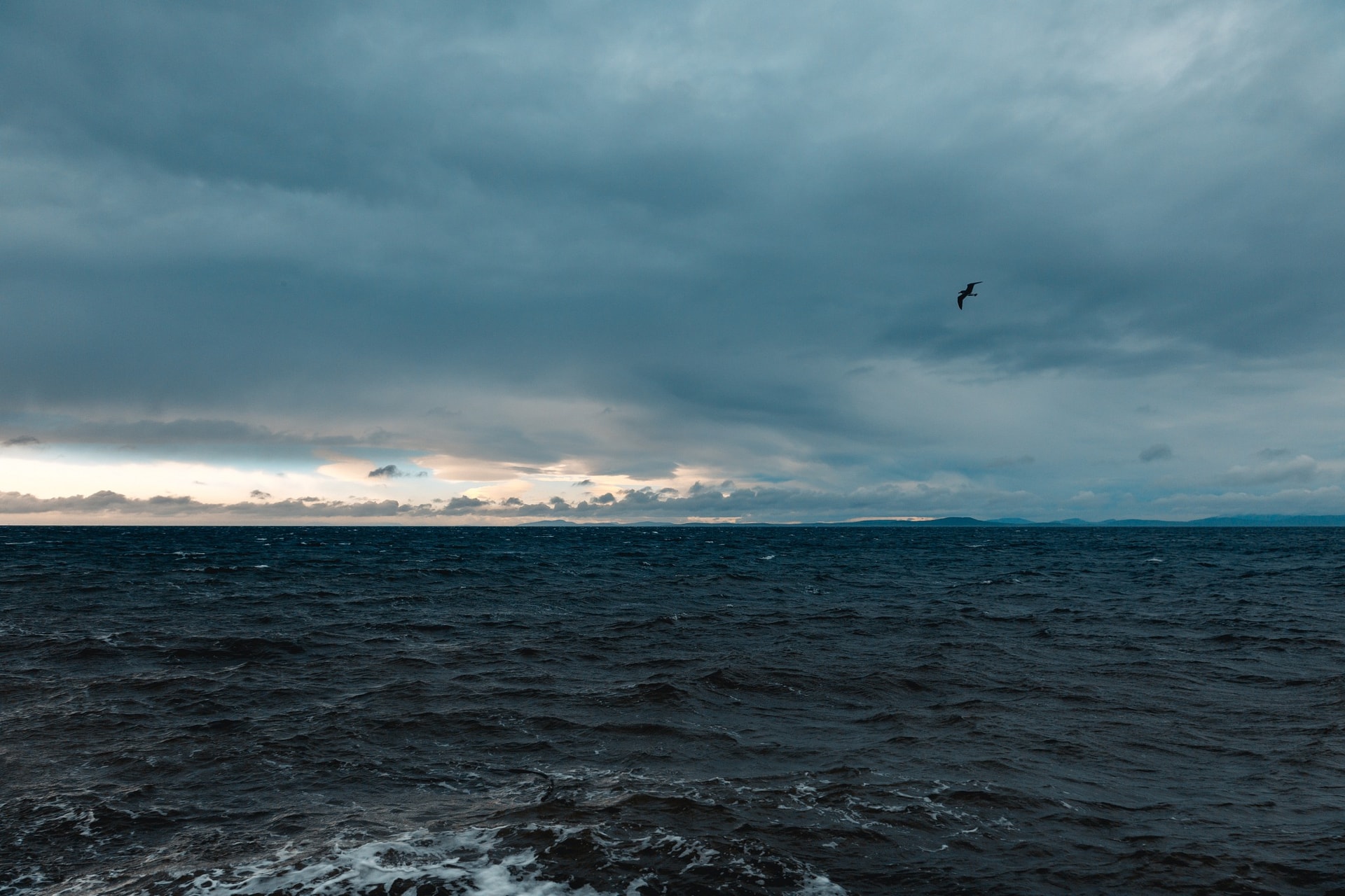 Puget Sound
