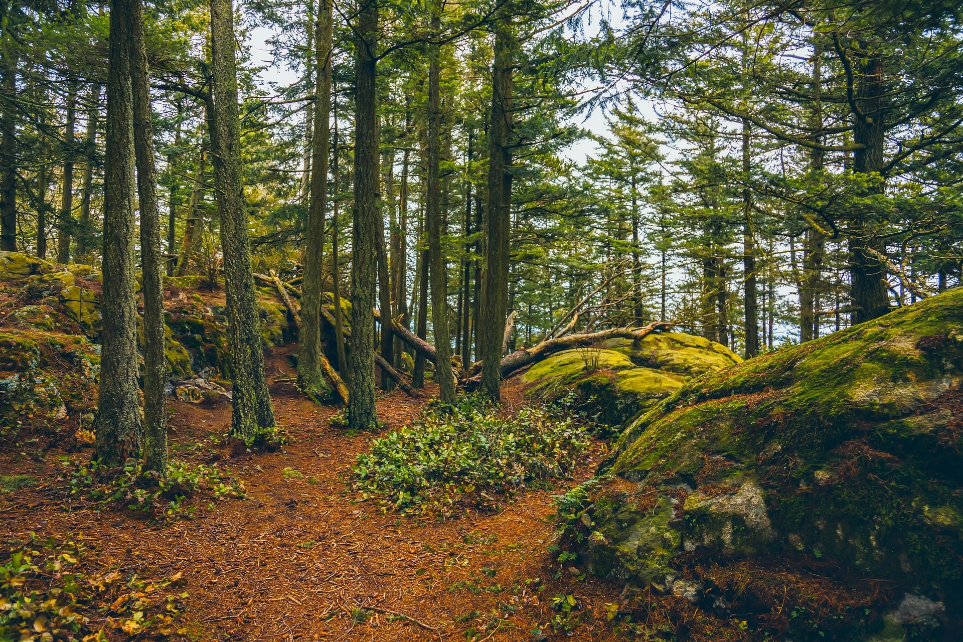 1C7A3082-Edit.jpg