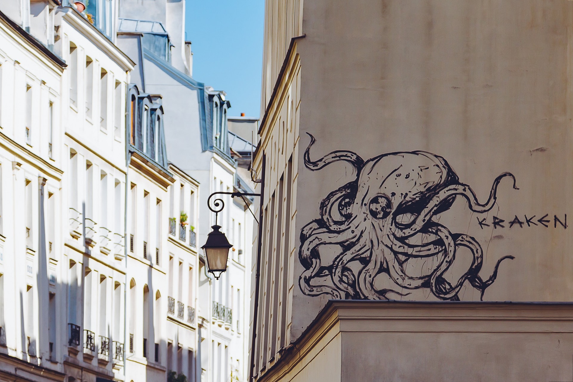 Street Octopus