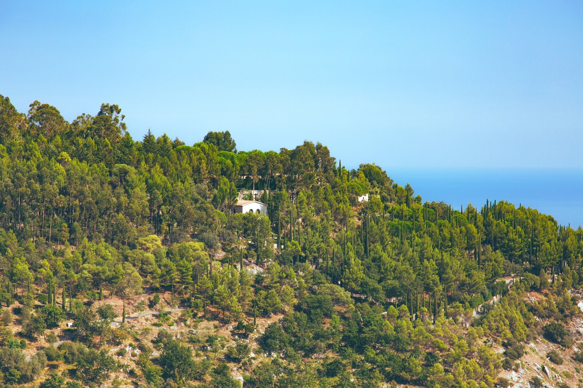 1C7A1581-Edit.jpg
