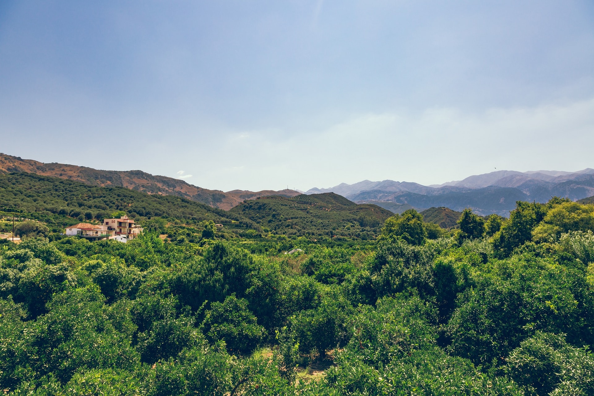 1C7A1717-Edit.jpg