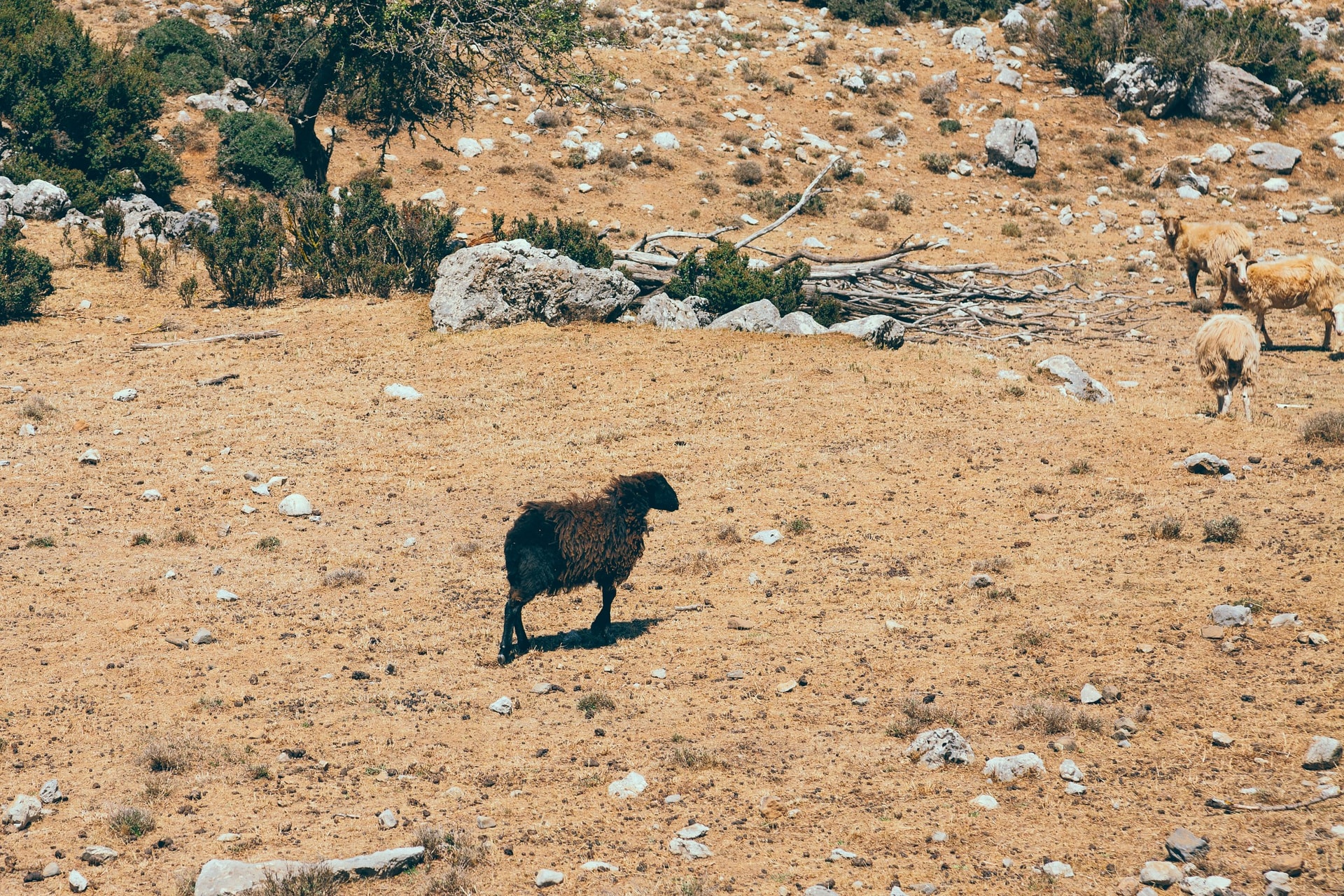 1C7A1751-Edit.jpg
