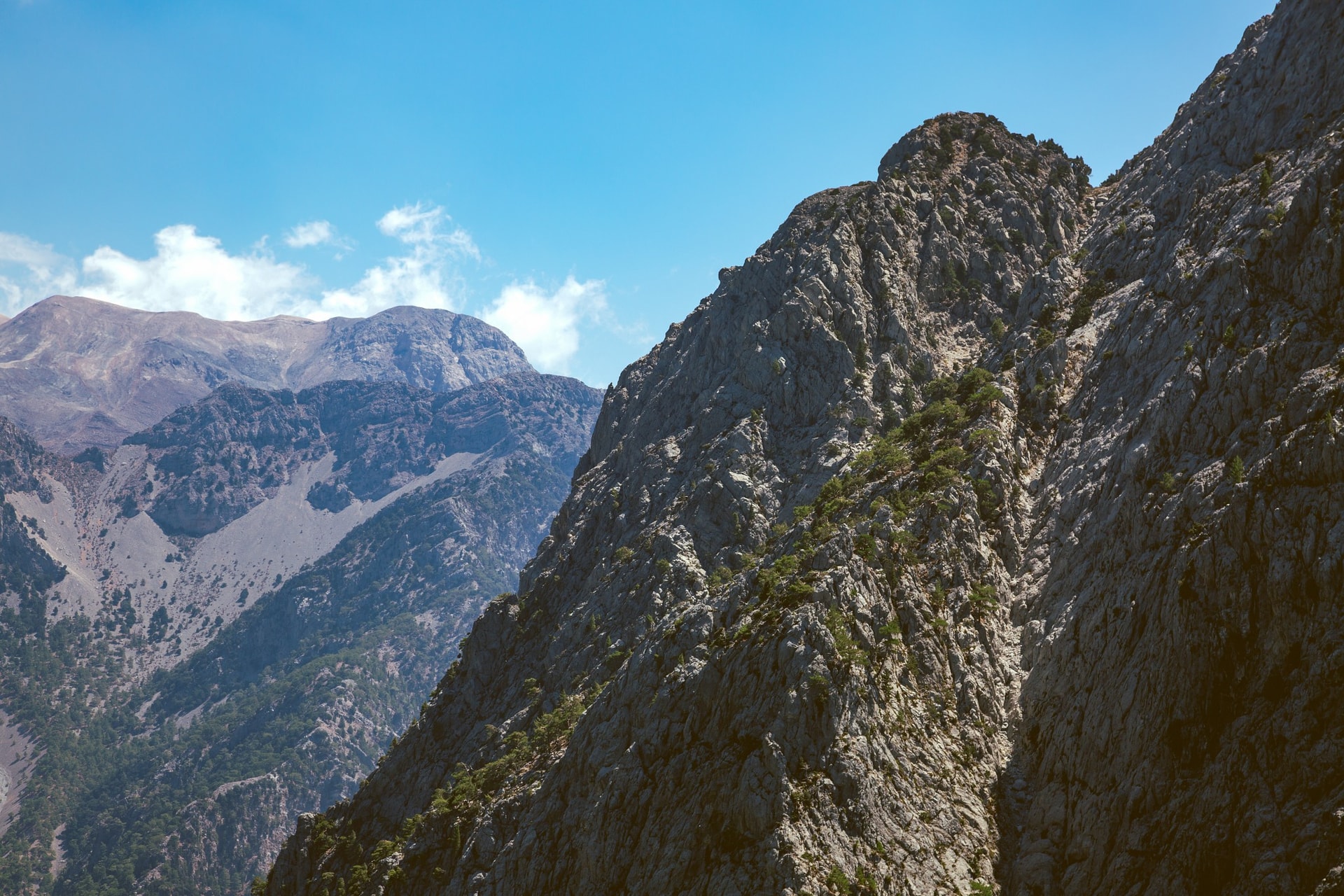 1C7A1760-Edit.jpg