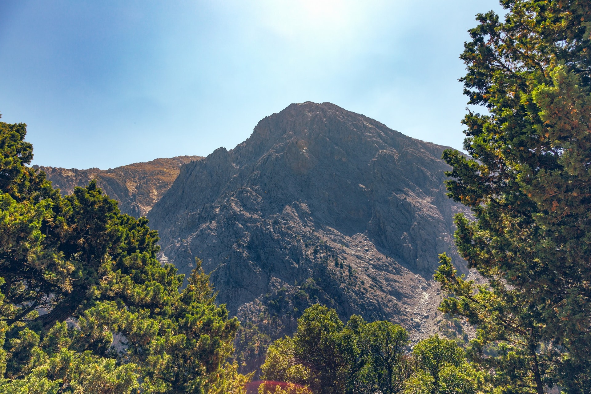 1C7A1761-Edit.jpg