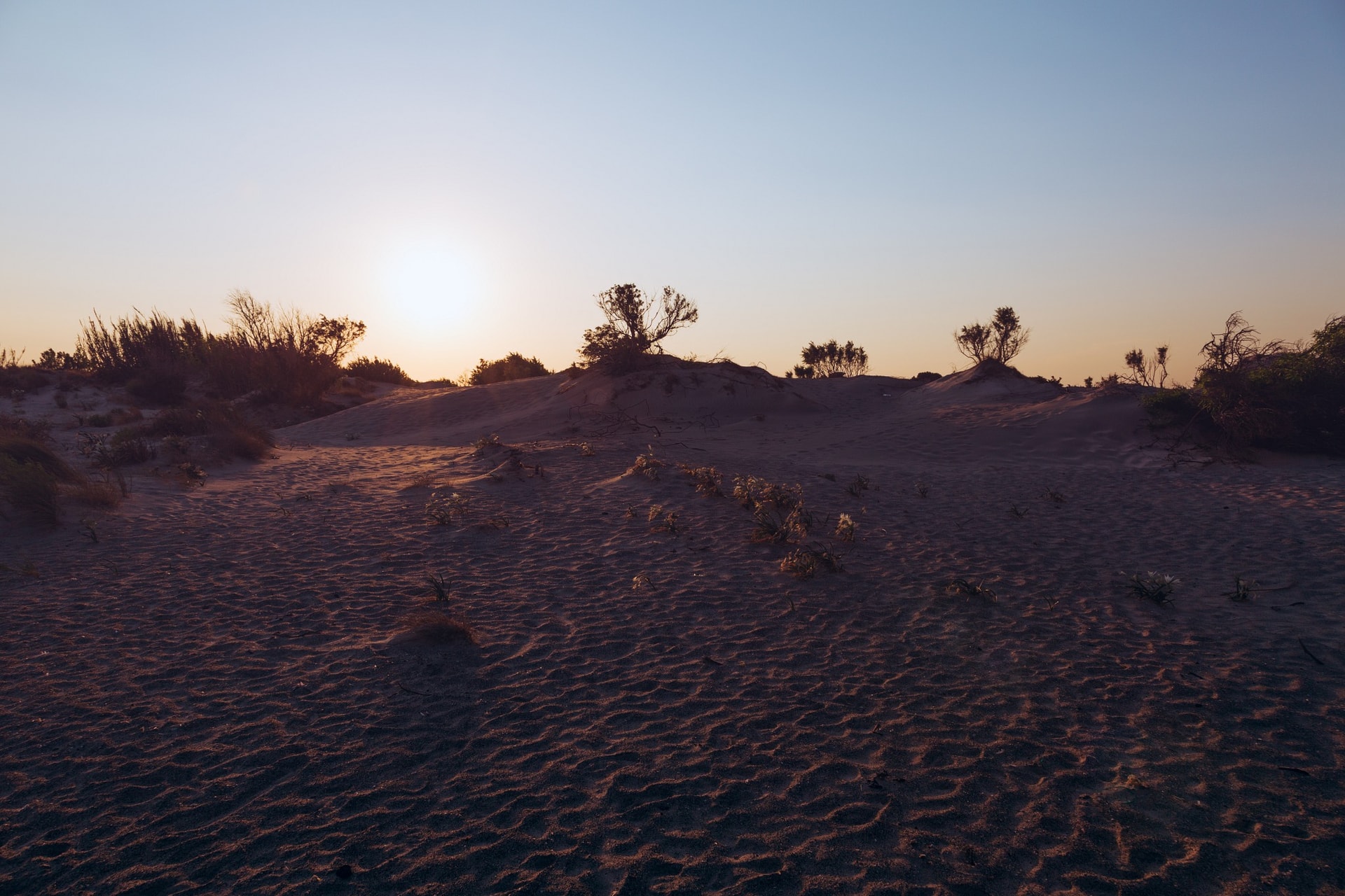 1C7A1779-Edit.jpg