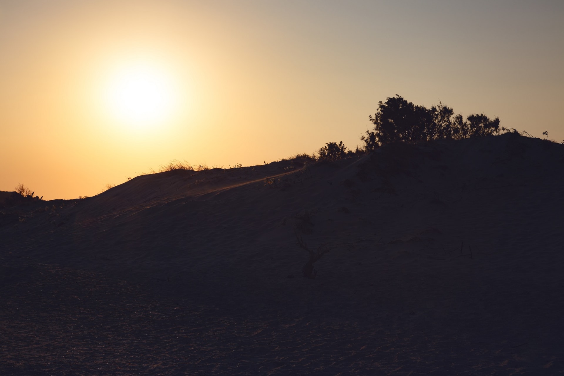 1C7A1785-Edit.jpg
