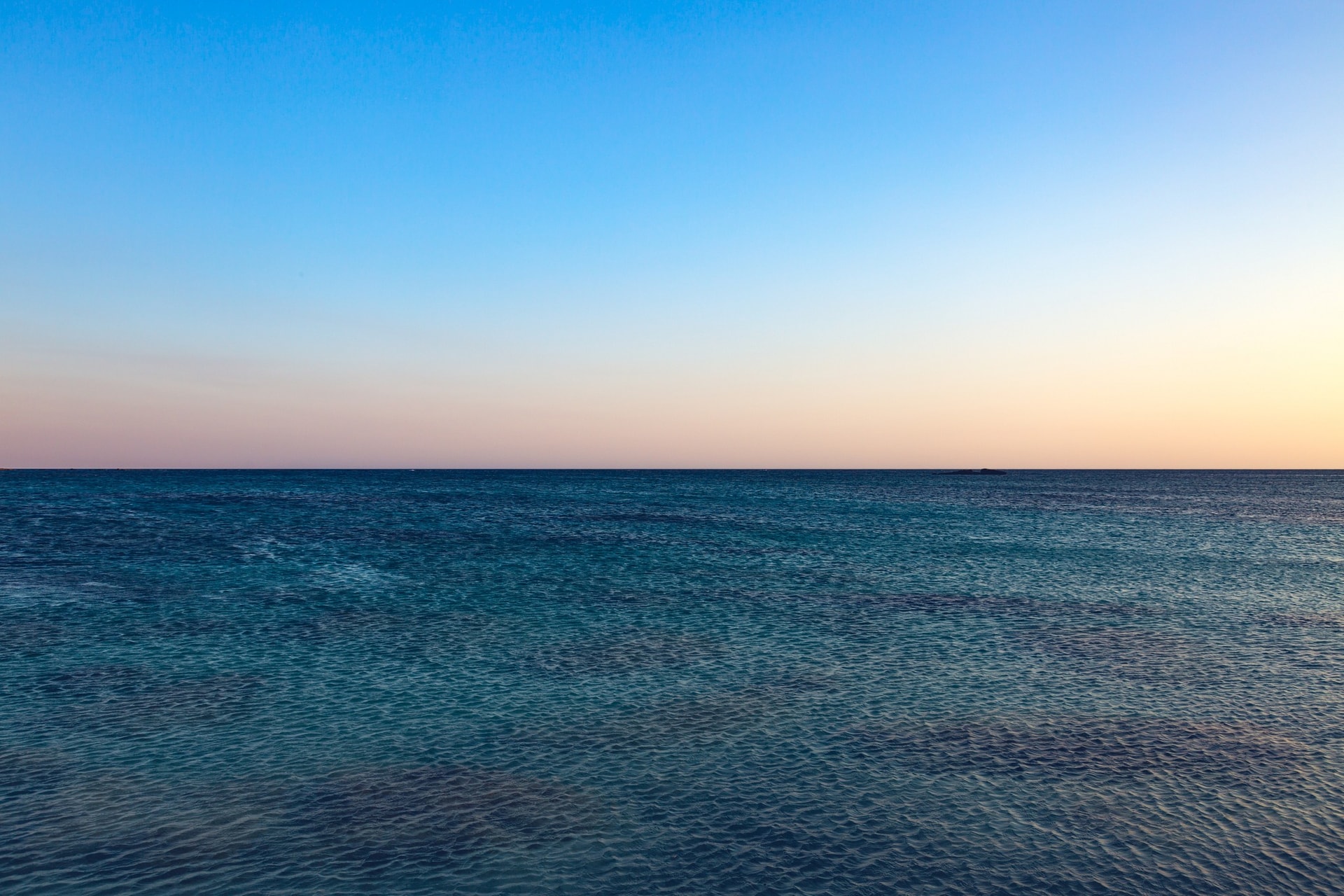 1C7A1788-Edit.jpg