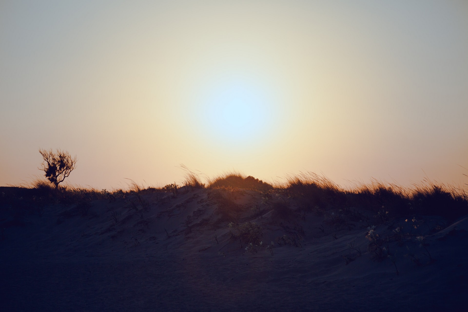 1C7A1814-Edit.jpg