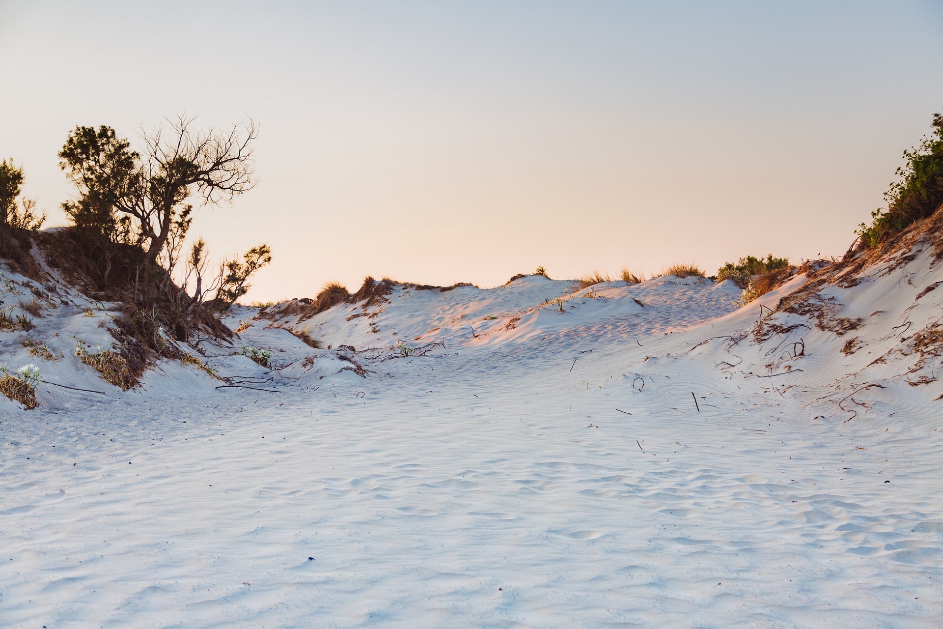 1C7A1818-Edit.jpg