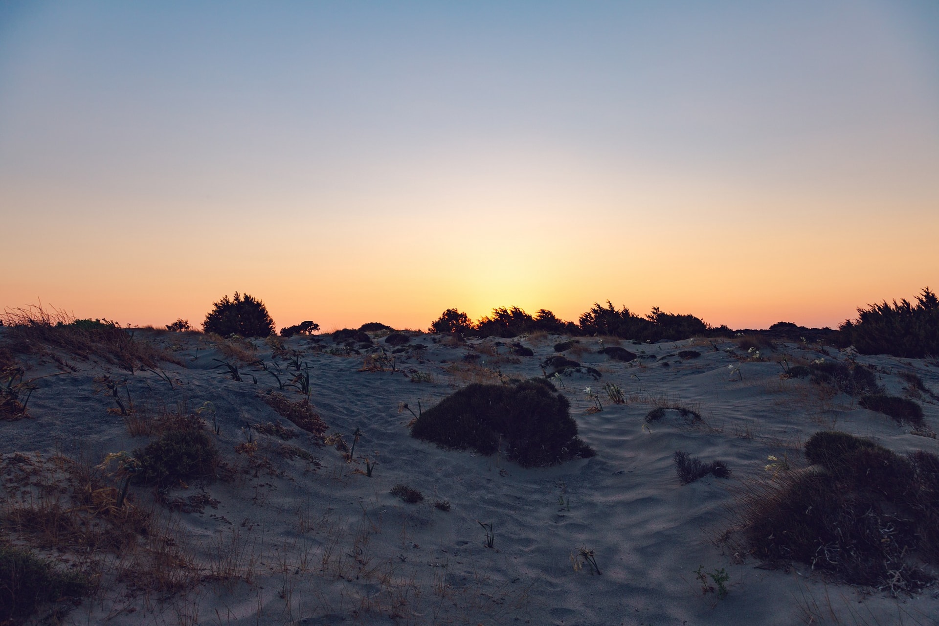 1C7A1830-Edit.jpg