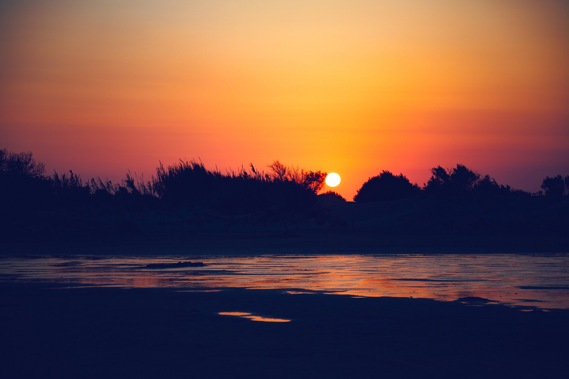 1C7A1846-Edit.jpg