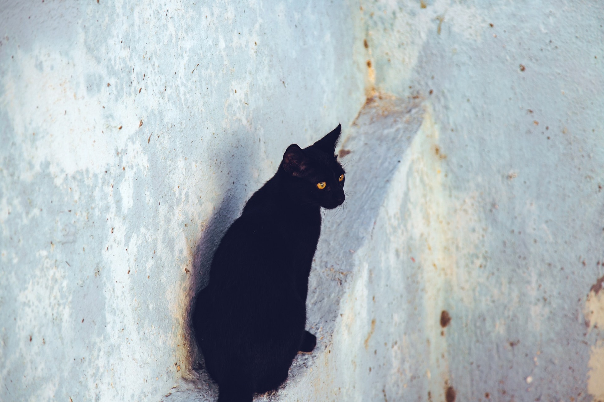 1C7A2141-Edit.jpg