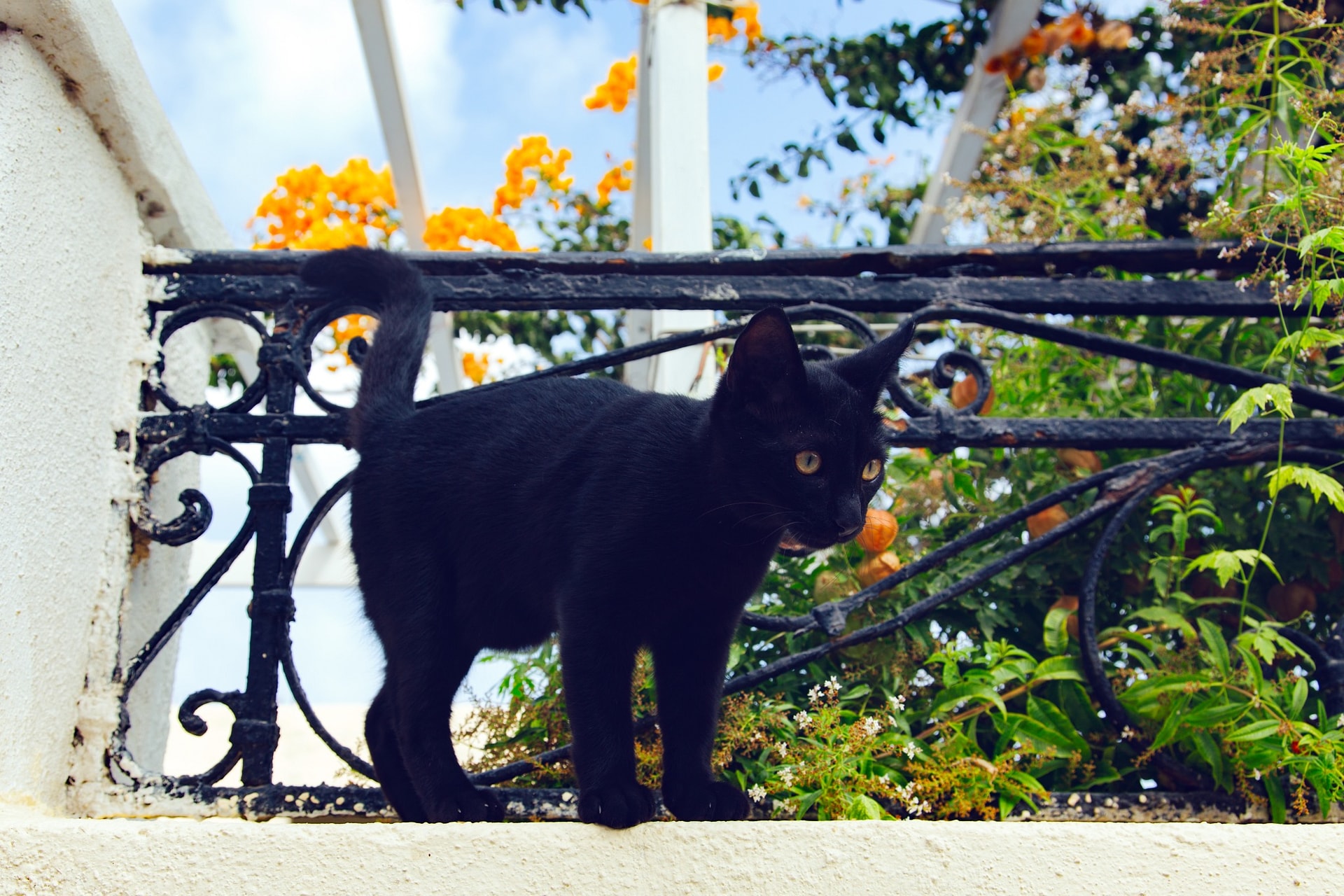 1C7A2324-Edit.jpg