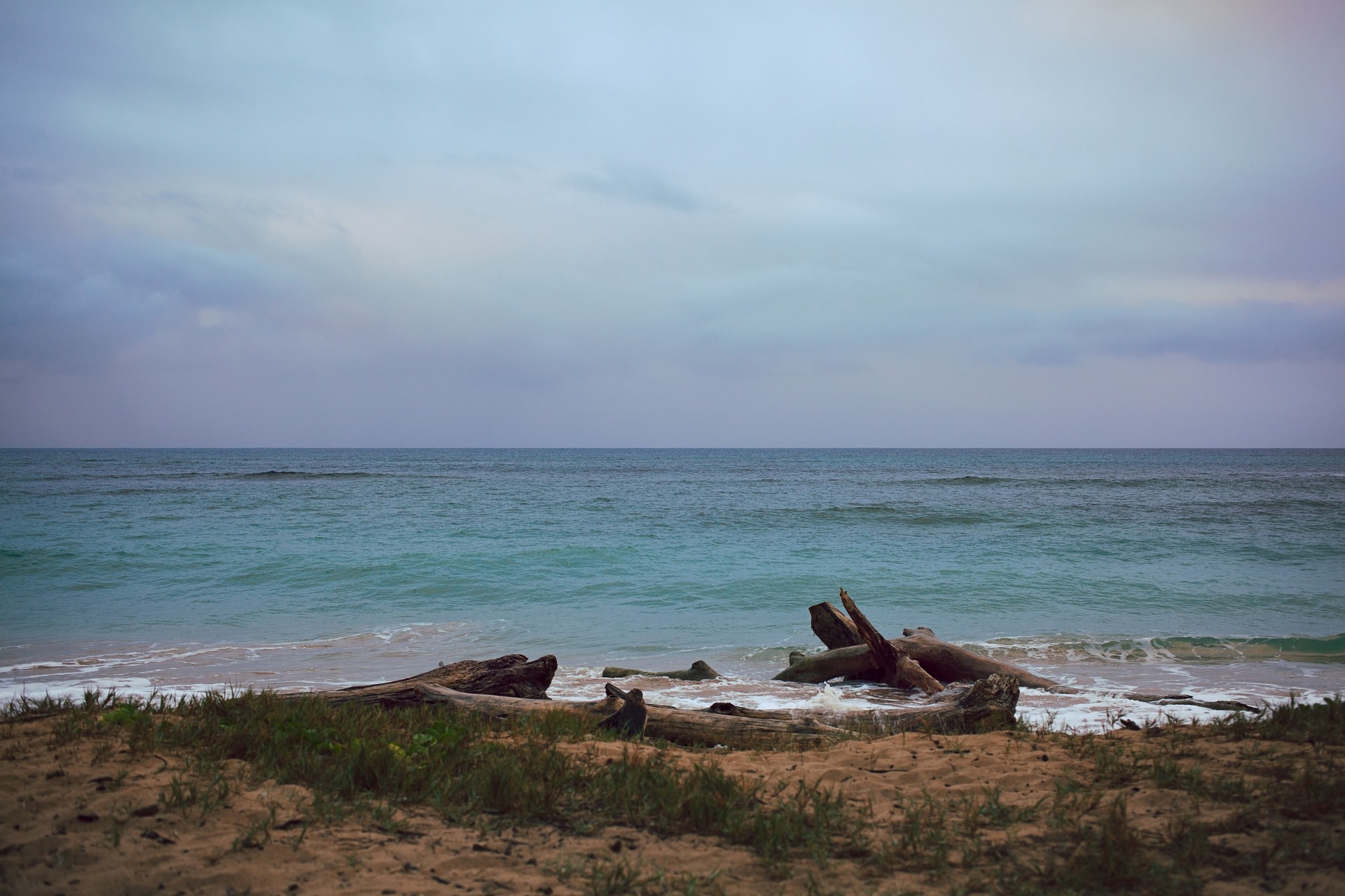 Lydgate Beach