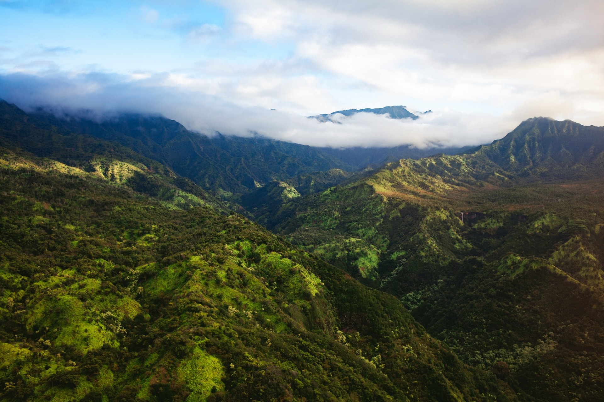 Canyons