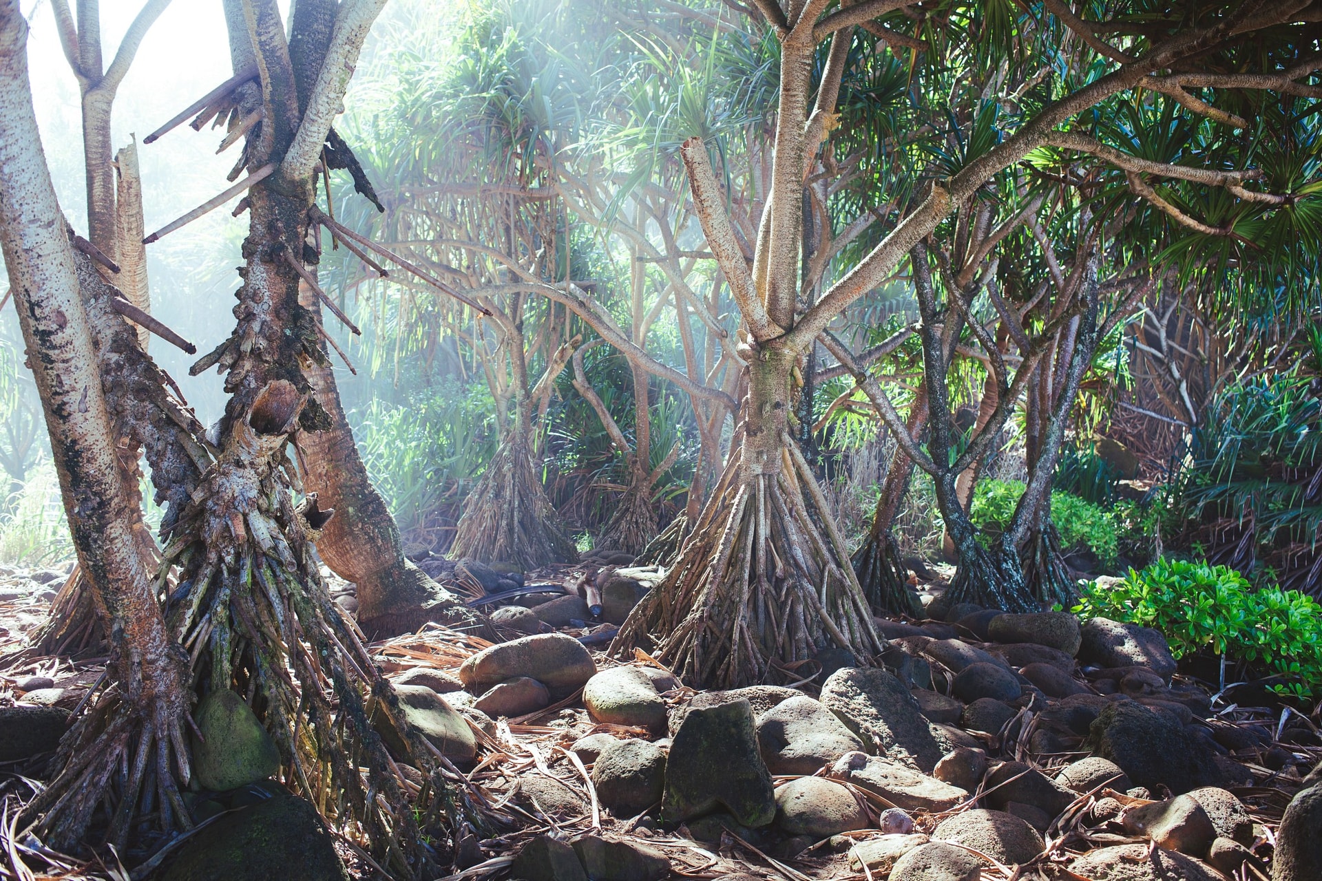 Kalalau Trail