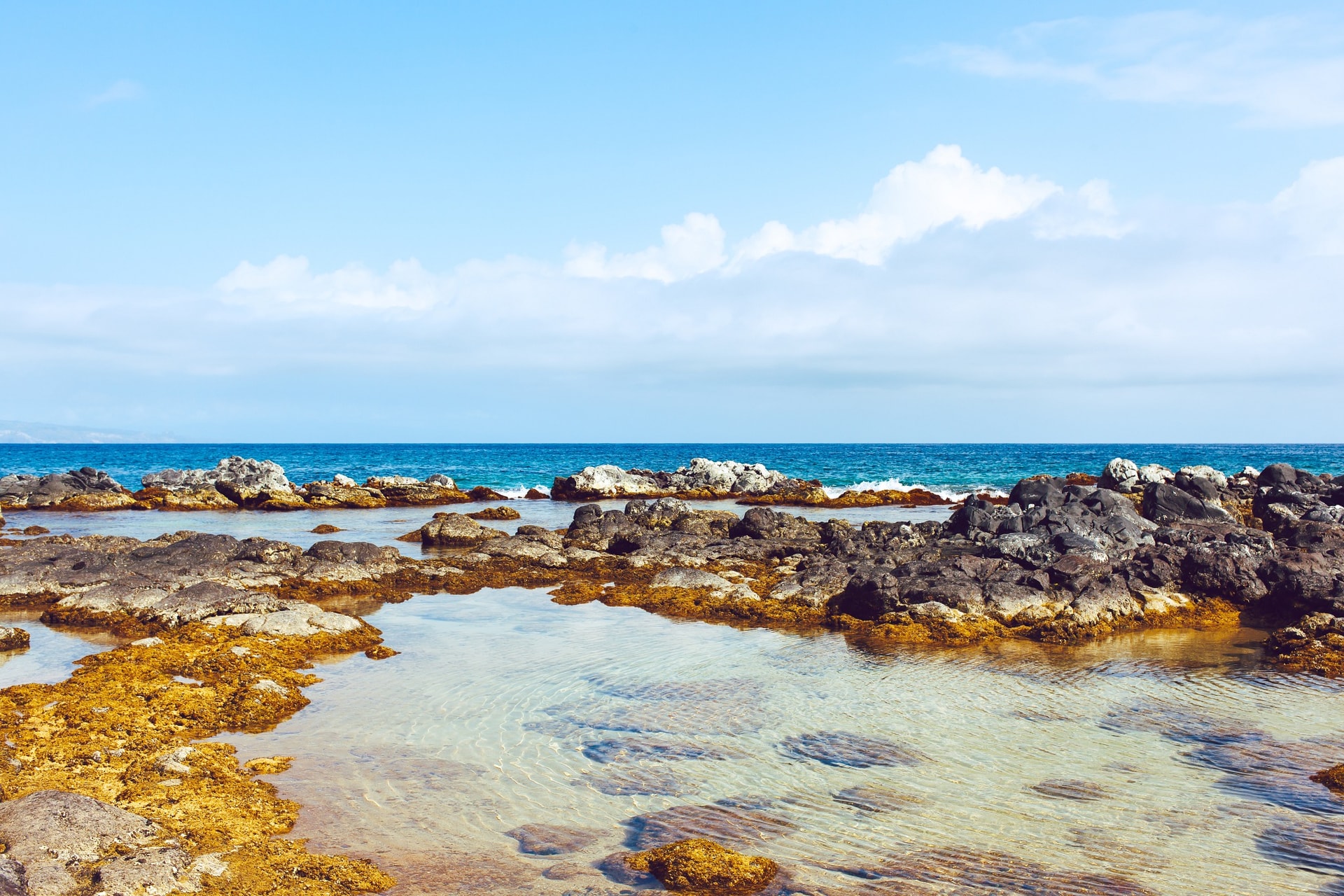 Ho'okipa Tidal Pools