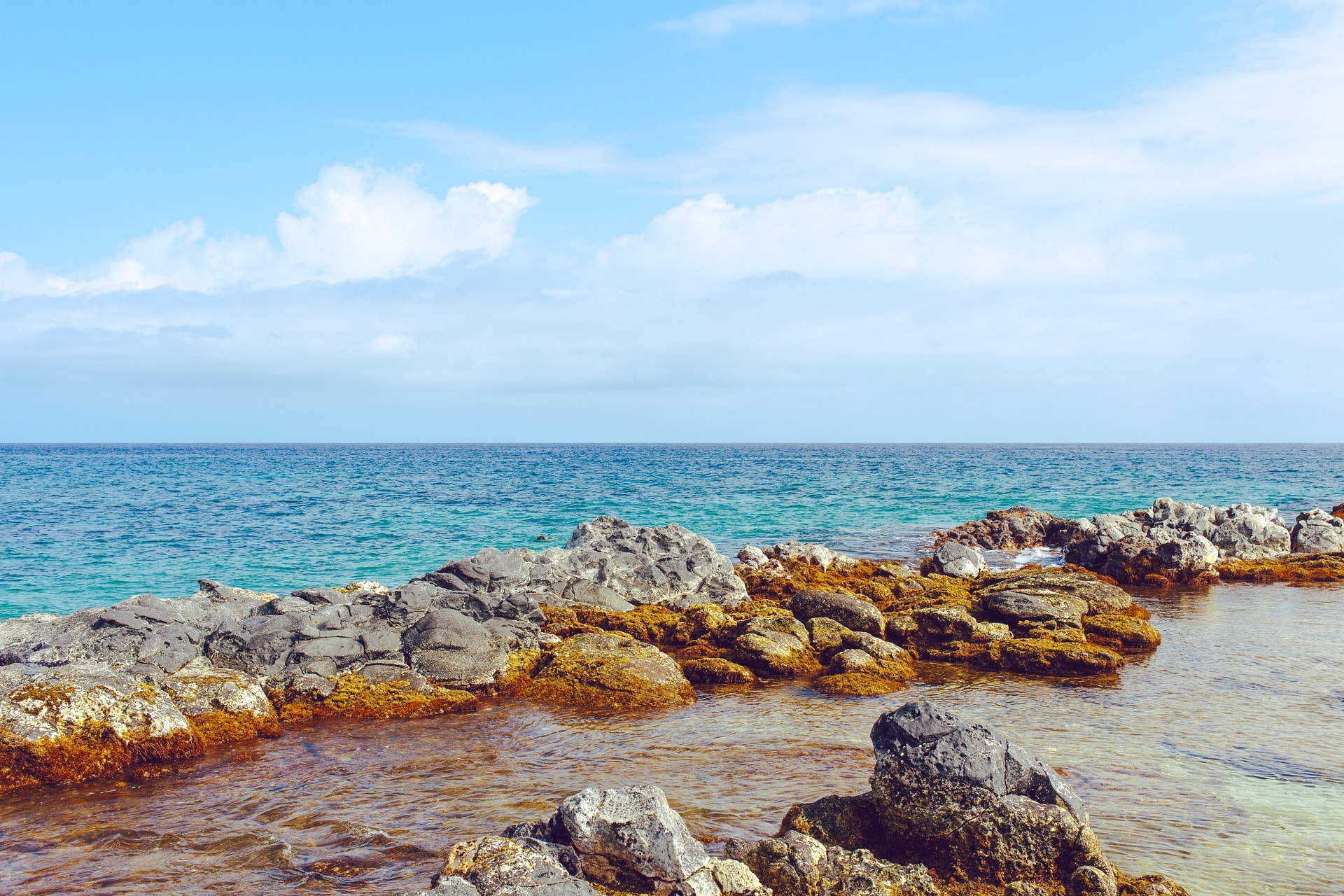Ho'okipa Tidal Pools