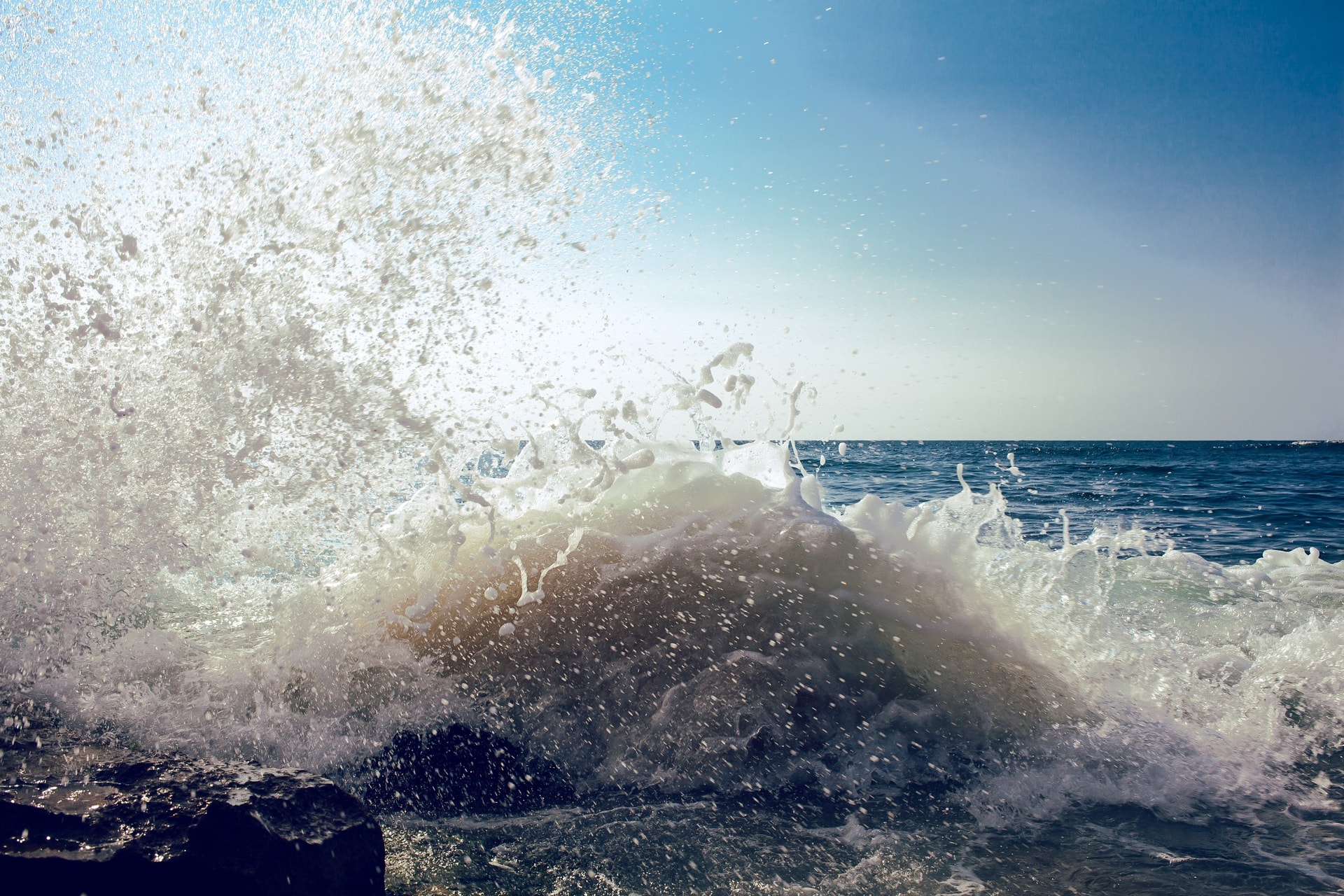 Splash