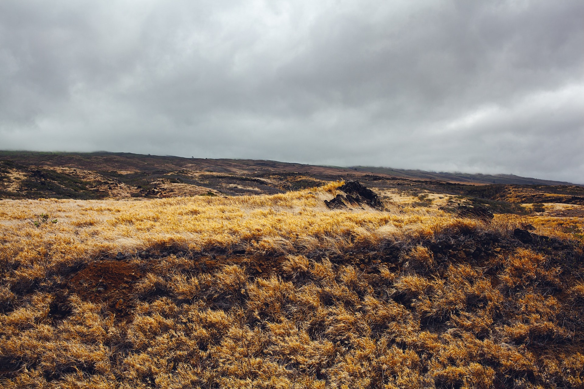 Nu'u Refuge
