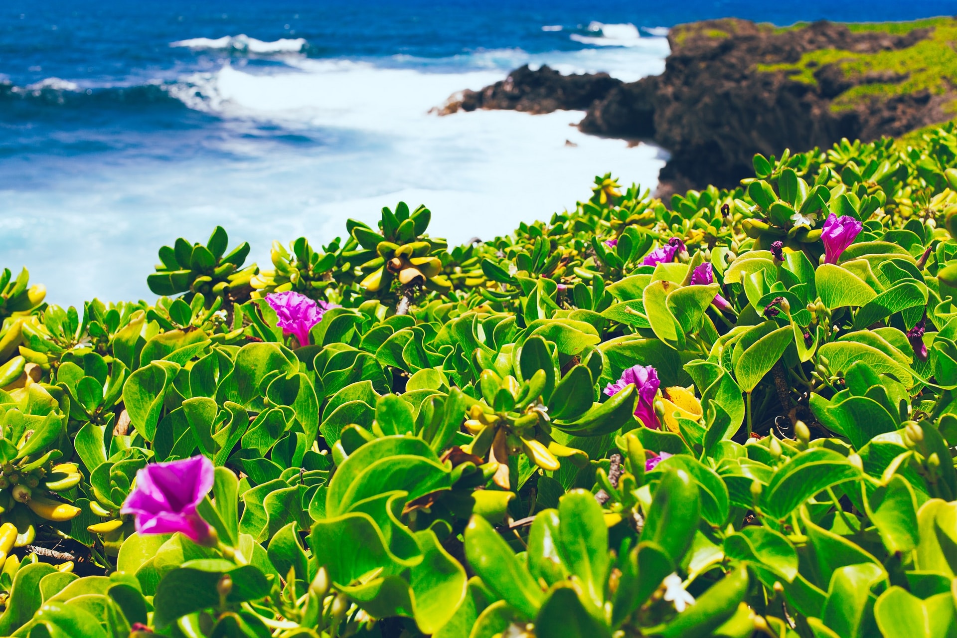 Haleakala National Park