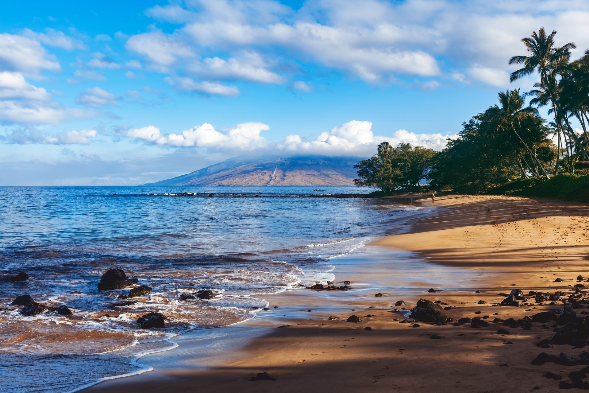 Maui Mornings