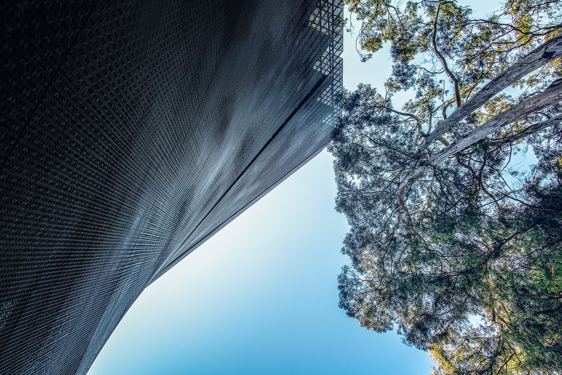 de Young