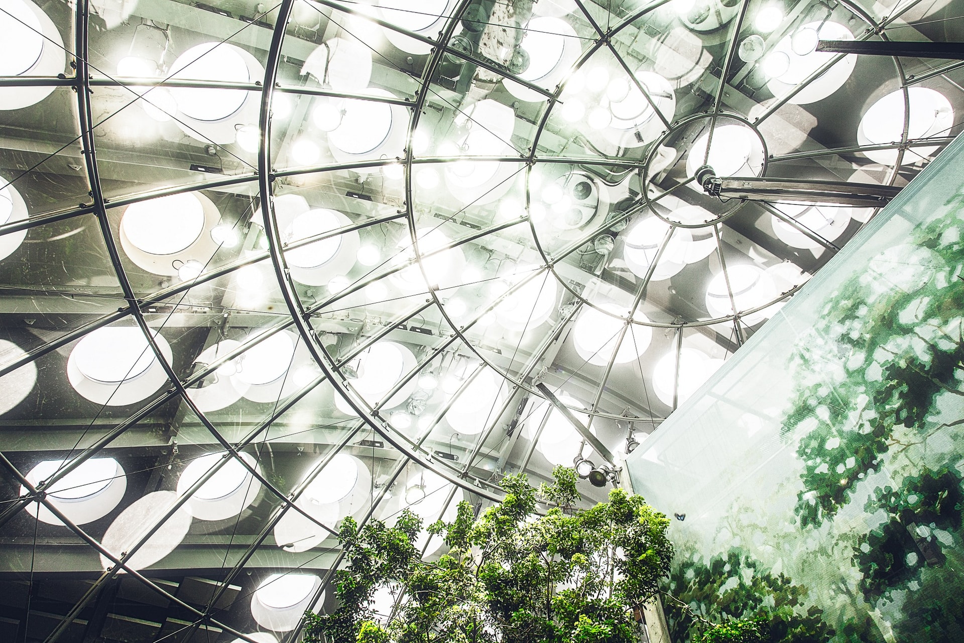 California Academy of Sciences