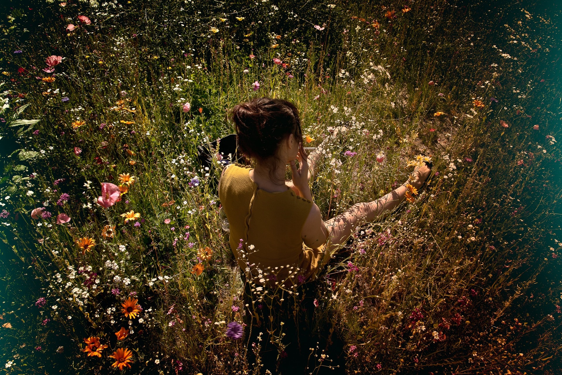 In Bloom
