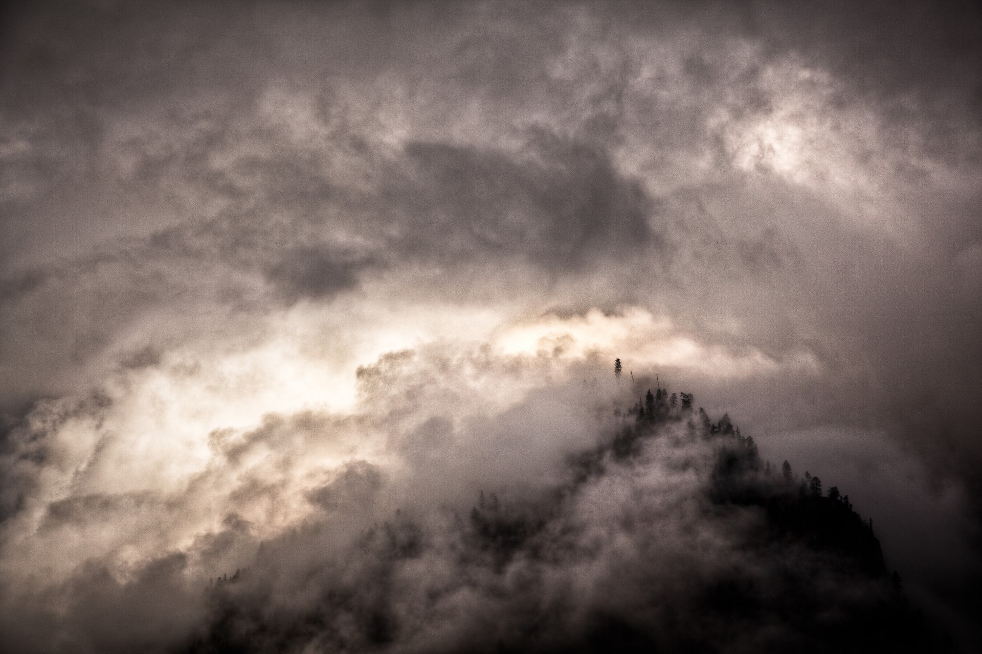 IMG-3536-tonemapped.jpg