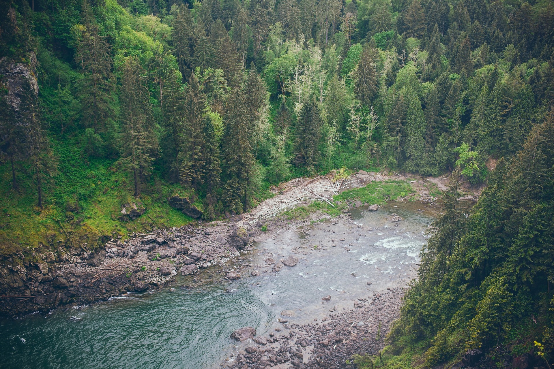 IMG-7791.jpg