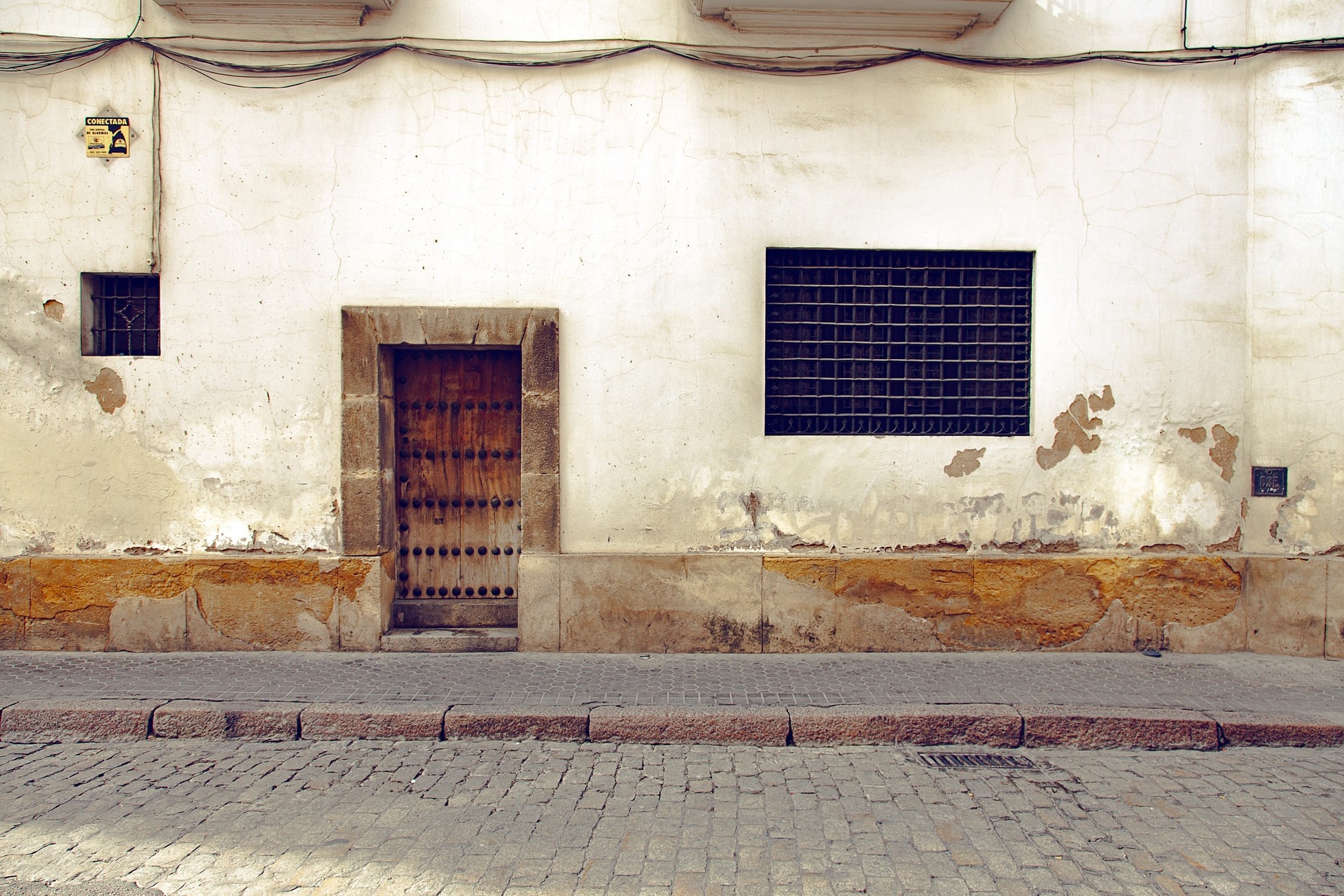 IMG-8789.jpg