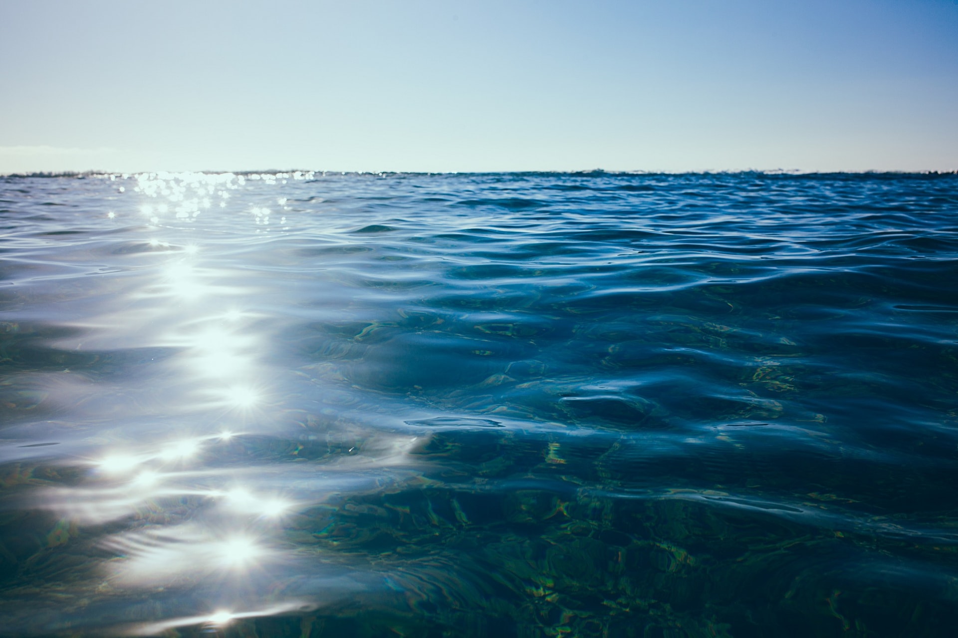 Into the Sea